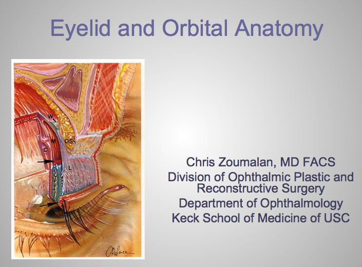 august-2013-keck-orbital-anatomy-lecture