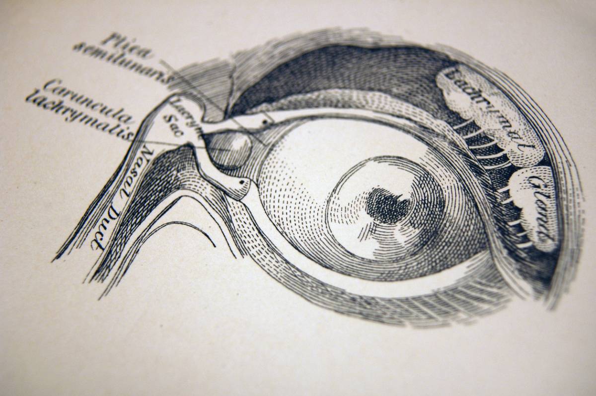 illustration of tear duct anatomy